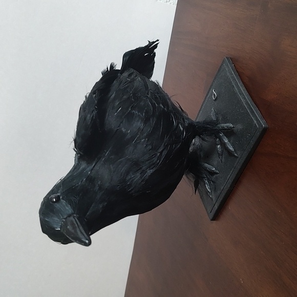 Black Raven Crow Sculpture Real Feathers Bird Halloween Decor Movie Set Prop - Picture 2 of 14